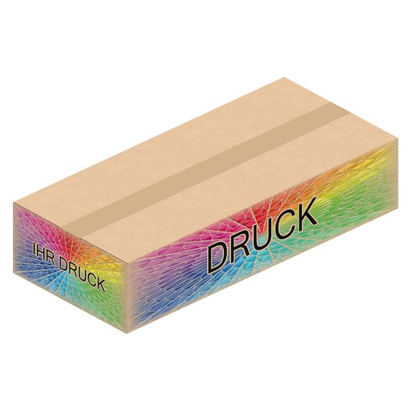 Faltkarton 550 x 250 x 120 mm mit Digitaldruck
