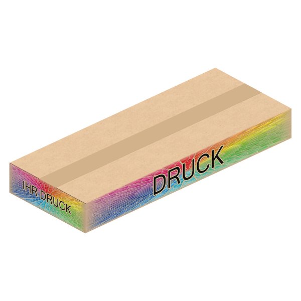 Faltkarton 500 x 200 x 60 mm mit Digitaldruck