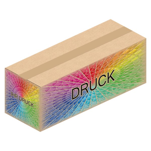 Faltkarton 394 x 144 x 140 mm mit Digitaldruck