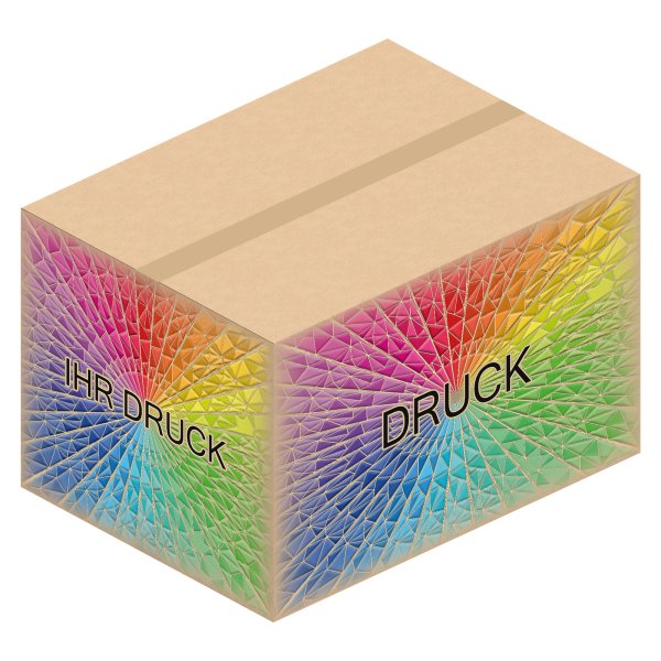 Faltkarton 780 x 580 x 500 mm (2-wellig) mit Digitaldruck
