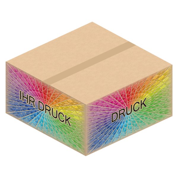 Faltkarton 600 x 600 x 300 mm (2-wellig) mit Digitaldruck