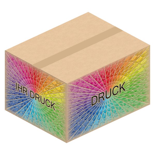 Faltkarton 490 x 390 x 200-280 mm (2-wellig) mit Digitaldruck