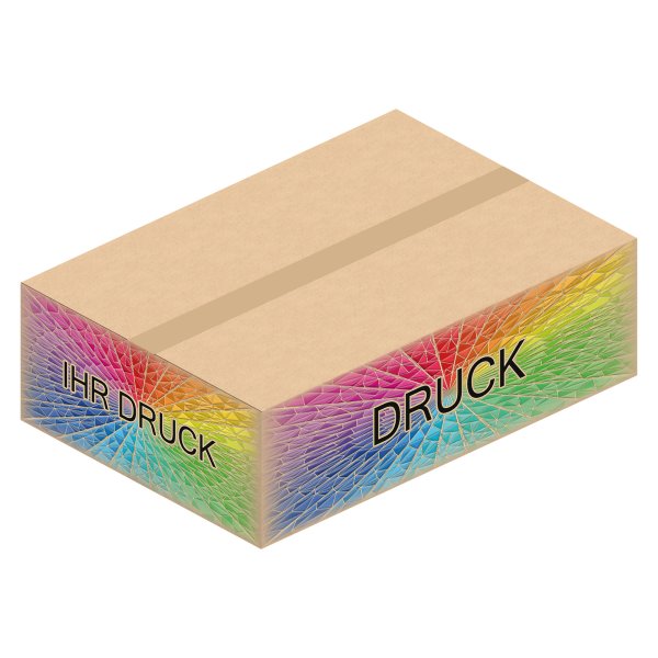 Faltkarton 650 x 450 x 200 mm A2+ mit Digitaldruck