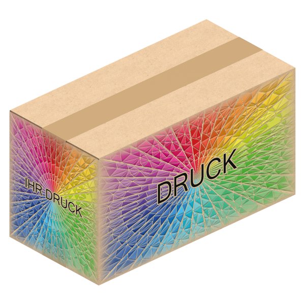 Faltkarton 610 x 300 x 330 mm (2-wellig) mit Digitaldruck