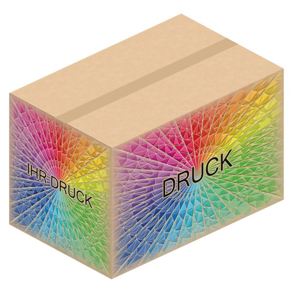 Faltkarton 700 x 450 x 450 mm (2-wellig) mit Digitaldruck