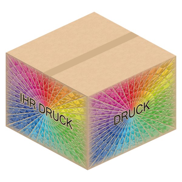 Faltkarton 550 x 550 x 300-385 mm (2-wellig) mit Digitaldruck