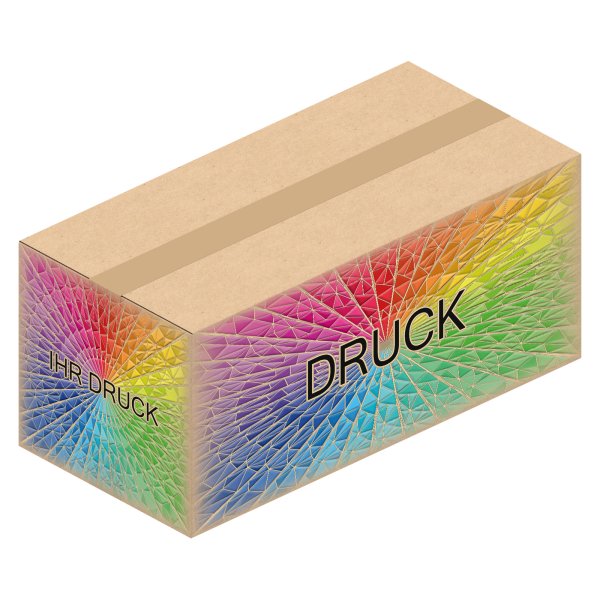 Faltkarton 385 x 185 x 170 mm (2-wellig) mit Digitaldruck