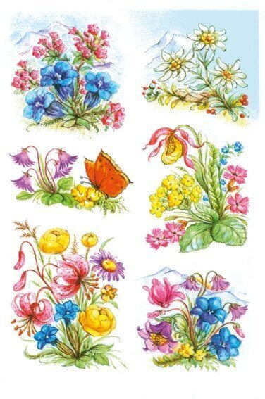 HERMA 3382 10x Sticker DECOR Gebirgsblumen