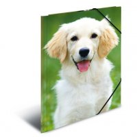 Office supplies