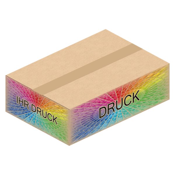 Faltkarton 396 x 273 x 120 mm (2-wellig) mit Digitaldruck