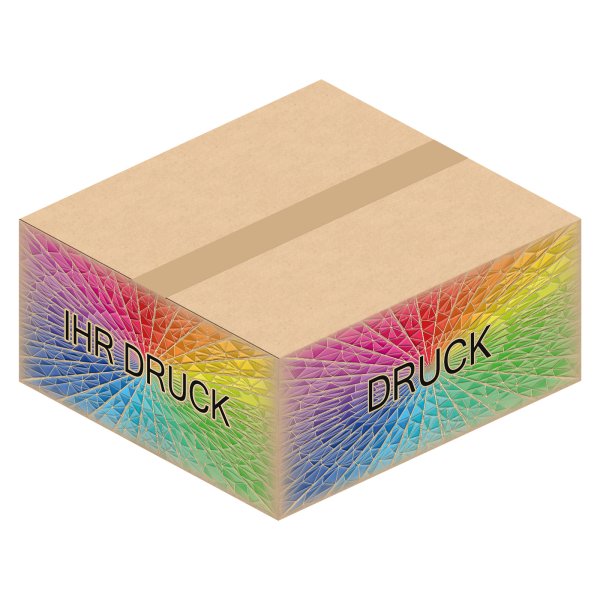 Faltkarton 404 x 374 x 173 mm mit Digitaldruck
