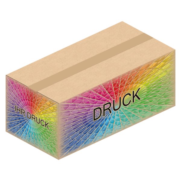 Faltkarton 394 x 194 x 160 mm mit Digitaldruck