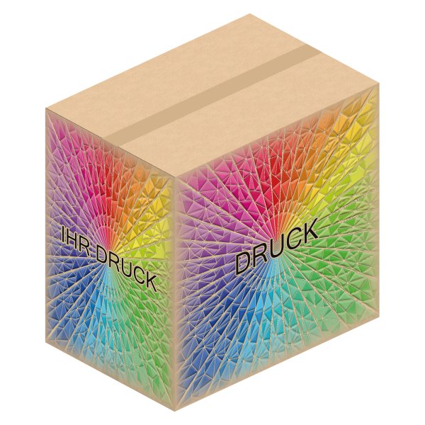 Faltkarton 600 x 410 x 420-580 mm (2-wellig) mit Digitaldruck