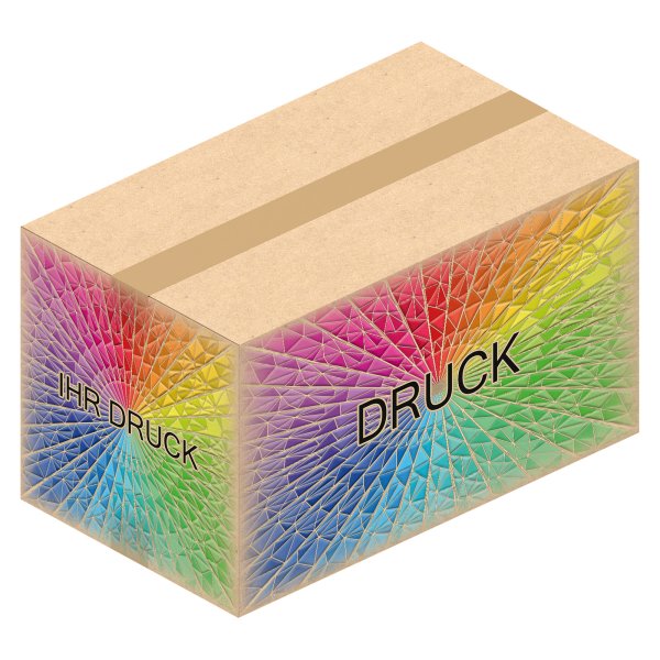 Faltkarton 492 x 292 x 284 mm (2-wellig) mit Digitaldruck