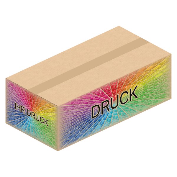 Faltkarton 594 x 294 x 188 mm mit Digitaldruck
