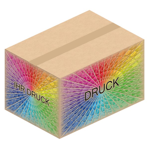 Faltkarton 500 x 350 x 300 mm (2-wellig) mit Digitaldruck