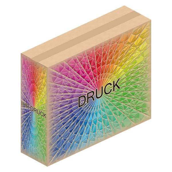 Faltkarton 590 x 165 x 475 mm (2-wellig) mit Digitaldruck