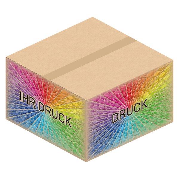 Faltkarton 500 x 500 x 300 mm (2-wellig) mit Digitaldruck