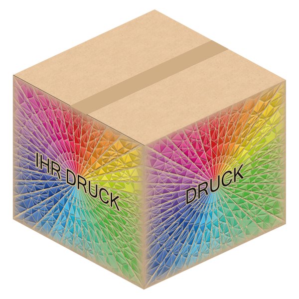 Faltkarton 350 x 350 x 300 mm (2-wellig) mit Digitaldruck