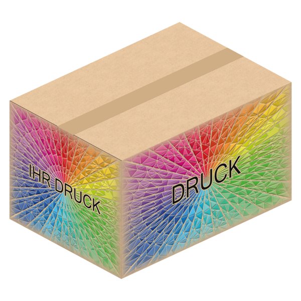 Faltkarton 419 x 296 x 234 mm (2-wellig) mit Digitaldruck