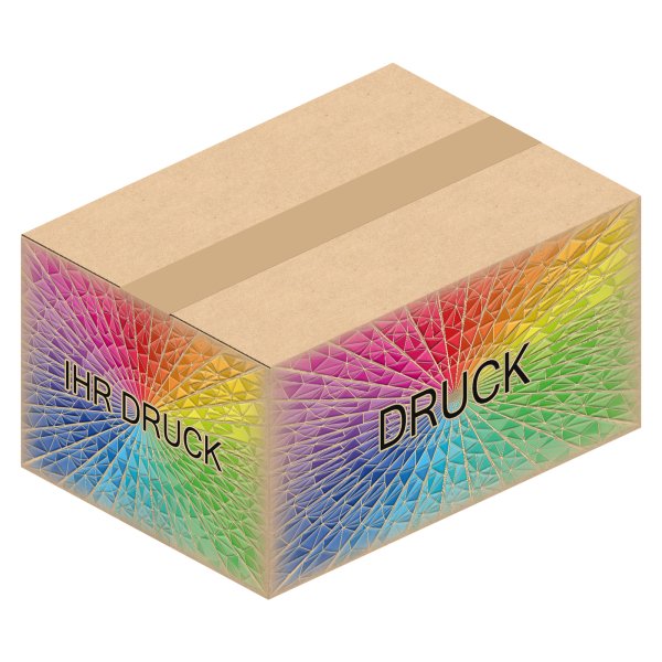 Faltkarton 297 x 212 x 144 mm (2-wellig) A4 mit Digitaldruck