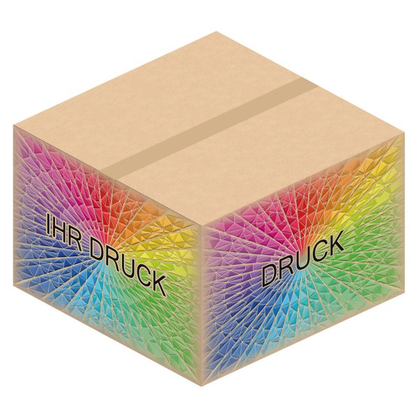 Faltkarton 600 x 600 x 400 mm (2-wellig) mit Digitaldruck