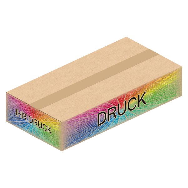 Faltkarton 1000 x 500 x 200 mm mit Digitaldruck