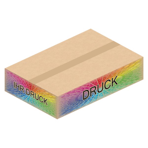 Faltkarton 590 x 390 x 130 mm mit Digitaldruck