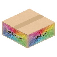 Faltkarton 250 x 250 x 100 mm mit Digitaldruck