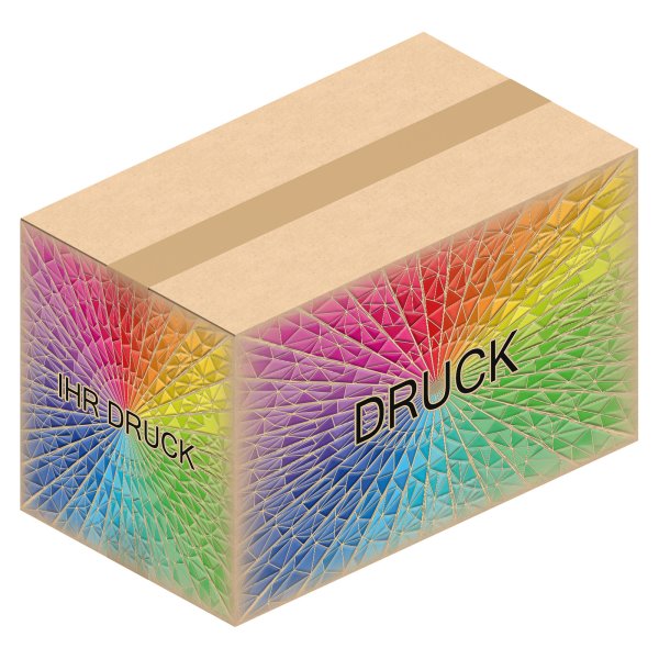 Faltkarton 890 x 510 x 530 mm (2-wellig) mit Digitaldruck