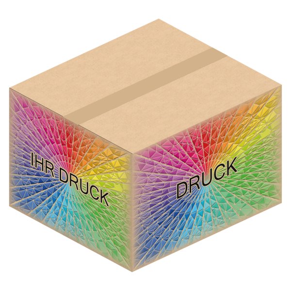 Faltkarton 450 x 400 x 300 mm (2-wellig) mit Digitaldruck