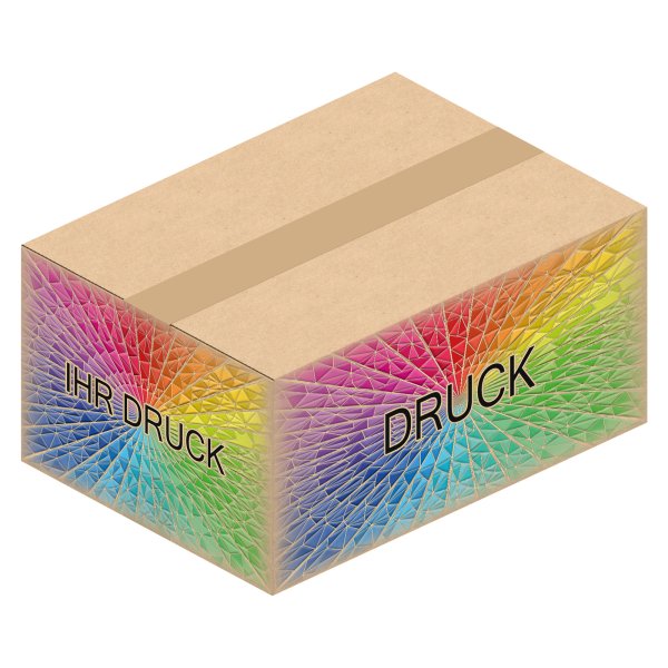 Faltkarton 322 x 232 x 144 mm (2-wellig) mit Digitaldruck