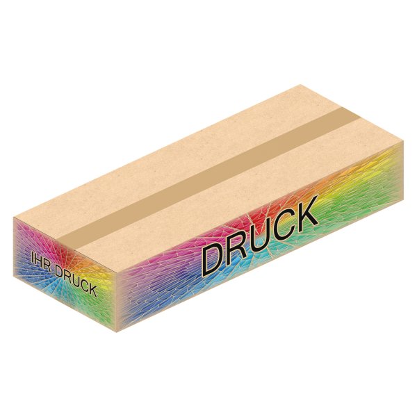 Faltkarton 740 x 290 x 130 mm (2-wellig) mit Digitaldruck