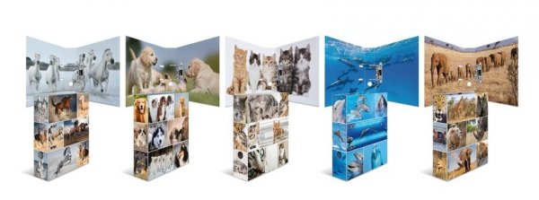 HERMA 7166 10x Motiv-Ordner A4 Animals - Katzen