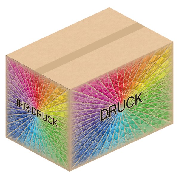 Faltkarton 592 x 392 x 384 mm (2-wellig) mit Digitaldruck