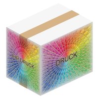 Faltkarton 310 x 220 x 250 mm (2-wellig) Weiß A4+ mit Digitaldruck