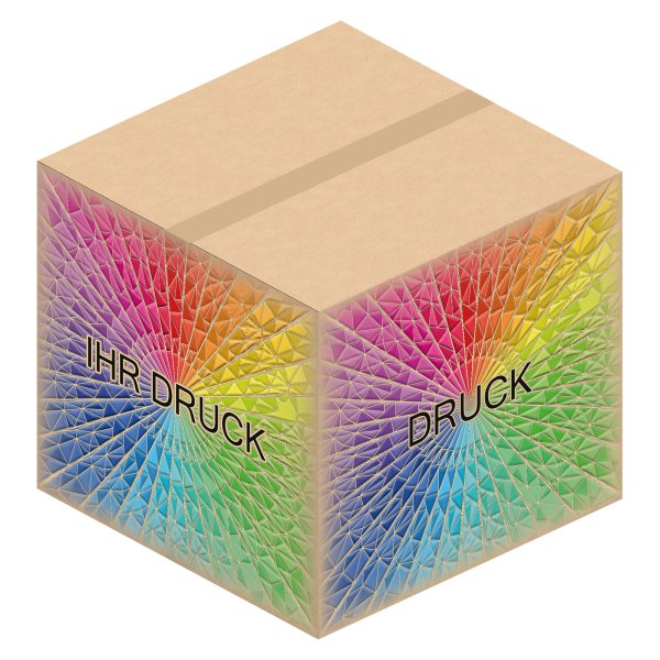 Faltkarton 550 x 550 x 500 mm (2-wellig) mit Digitaldruck