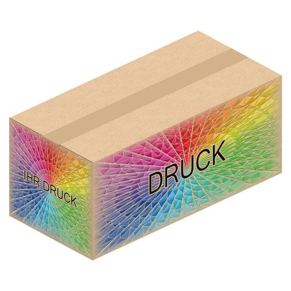 Faltkarton 452 x 212 x 184 mm (2-wellig) mit Digitaldruck