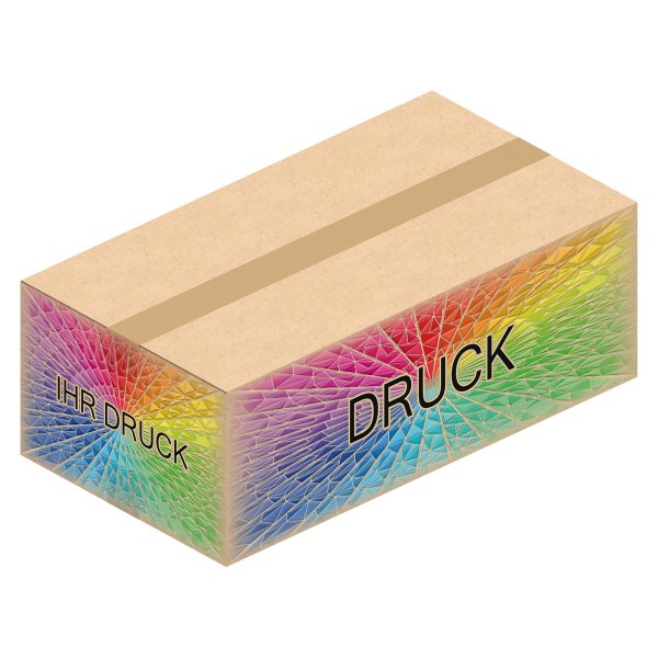 Faltkarton 690 x 370 x 230 mm (2-wellig) mit Digitaldruck