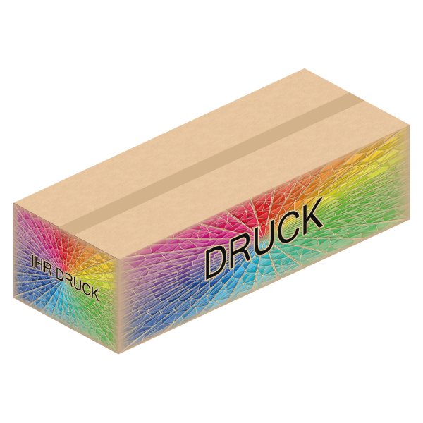 Faltkarton 985 x 385 x 270 mm (2-wellig) mit Digitaldruck