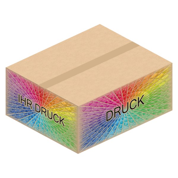 Faltkarton 590 x 490 x 250 mm mit Digitaldruck