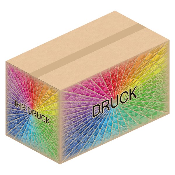 Faltkarton 642 x 342 x 354 mm (2-wellig) mit Digitaldruck