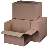 Automatic bottom cartons