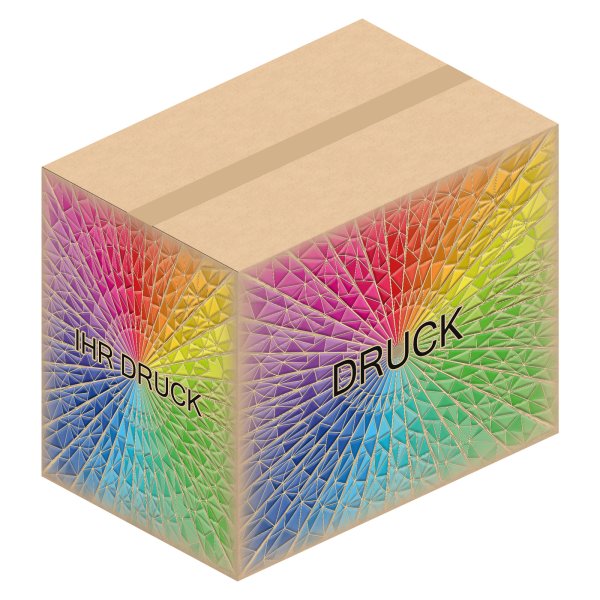 Faltkarton 590 x 390 x 480 mm mit Digitaldruck