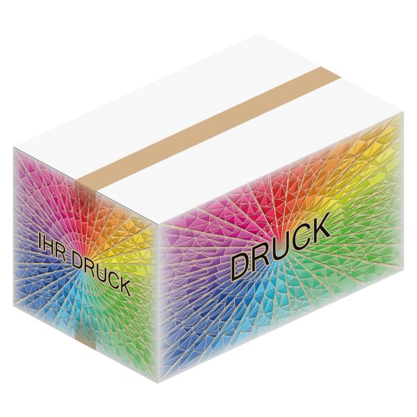 Faltkarton 550 x 350 x 300 mm (2-wellig) Weiß mit Digitaldruck