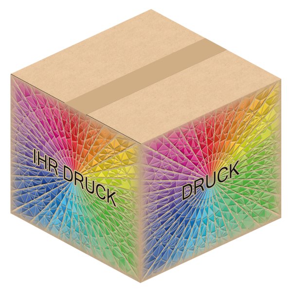 Faltkarton 300 x 300 x 250 mm mit Digitaldruck