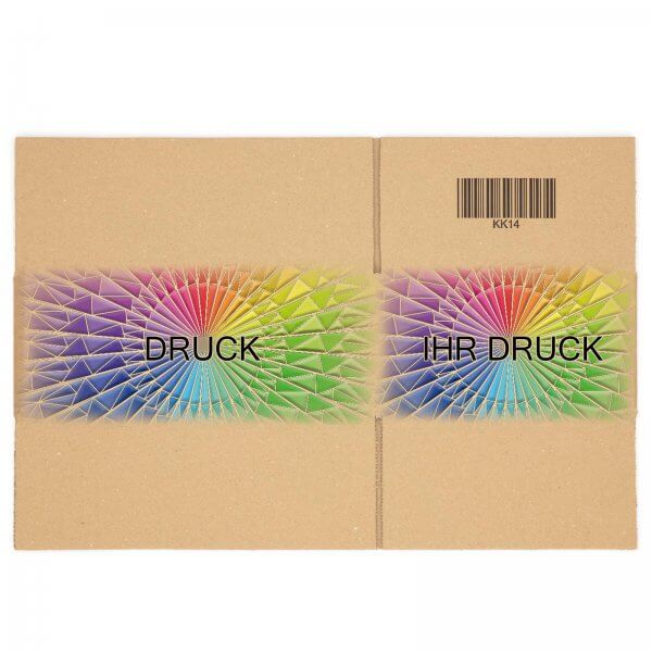 Faltkarton 250 x 175 x 100 mm mit Digitaldruck