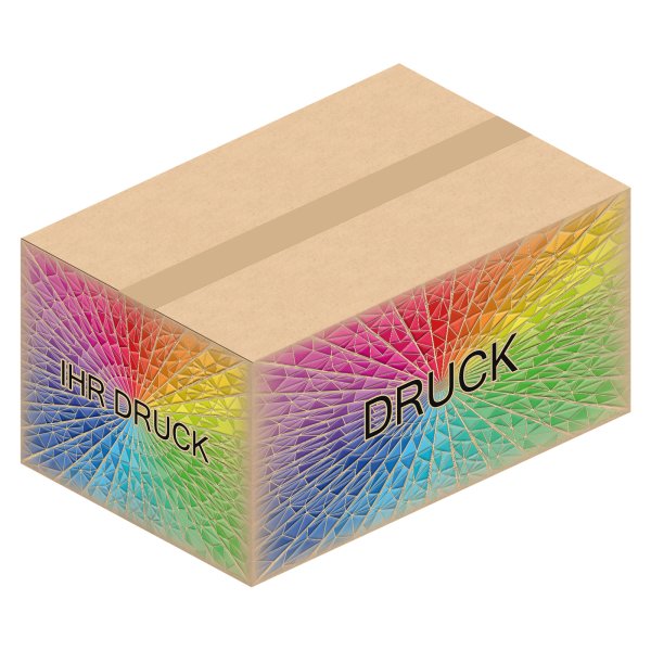 Faltkarton 500 x 330 x 250 mm mit Digitaldruck