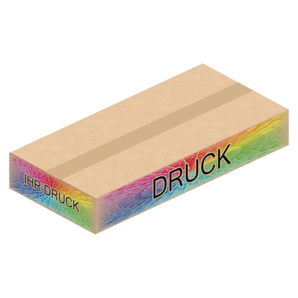 Faltkarton 520 x 250 x 80 mm mit Digitaldruck