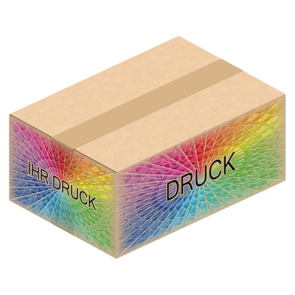 Faltkarton 342 x 232 x 134 mm (2-wellig) mit Digitaldruck